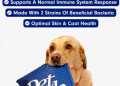 PetLab: A deep dive into its success and what makes it special