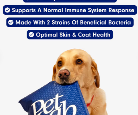 PetLab: A deep dive into its success and what makes it special