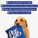 PetLab: A deep dive into its success and what makes it special