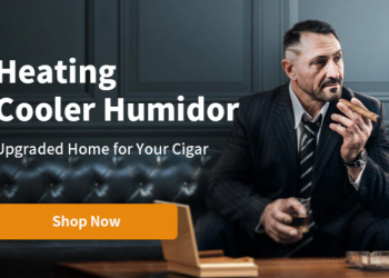 Mastering Wellness and Lifestyle: The Strategic Blueprint Behind a Premier Holistic Hub’s Success