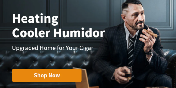 Mastering Wellness and Lifestyle: The Strategic Blueprint Behind a Premier Holistic Hub’s Success