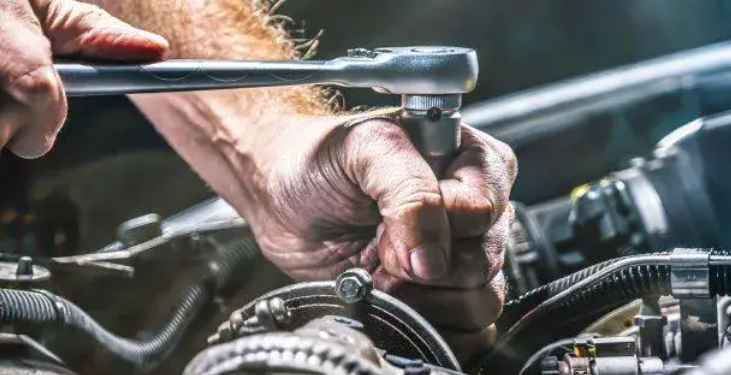 Le Partenaire Idéal pour les Professionnels et Passionnés