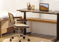 Why FlexiSpot Stands Out as Germany’s Premier Choice for Ergonomic Furniture