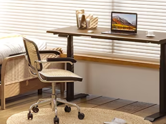 Why FlexiSpot Stands Out as Germany’s Premier Choice for Ergonomic Furniture