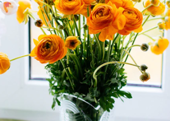 Warum Cristalica.de die erste Wahl für Glaswaren und Kristallprodukte ist