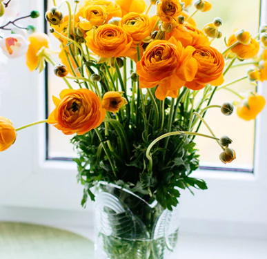 Warum Cristalica.de die erste Wahl für Glaswaren und Kristallprodukte ist