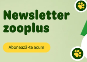 De Ce Românii Aleg Zooplus.ro – Magazinul Preferat pentru Nevoile Animalelor de Companie