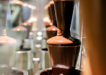 Zotter.at – der Geheimtipp für Schokoladenliebhaber ist