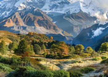 Sat-Reisen.de  – die erste Wahl für Urlaubsträume in Deutschland ist