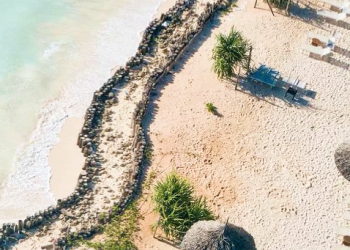 Acquistare su TUI Musement? Scopri Cosa Rende Questo Sito Speciale