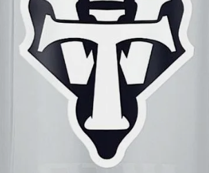 La révolution du cyclisme avec Bikenos l’ultime destination pour les passionnés de vélo