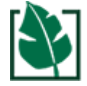 ¡Descubre por qué be.green es la mejor opción para tus compras ecológicas y sostenibles!