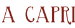 Discover the Luxury and Elegance of IslaCapricho.com – The Ultimate Shopping Destination