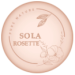 Why Solarosette is the Ultimate Destination for Style, Efficiency, and Innovation