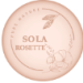 Discover the Unique Beauty of Solarosette: Your Go-To Destination for Premium Solar Products