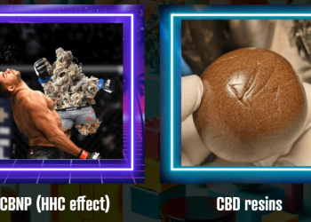 Creamhigh : Une Référence Française pour les Produits au CBD, CBNP et THC Légal