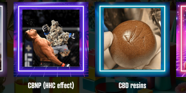 Creamhigh : Une Référence Française pour les Produits au CBD, CBNP et THC Légal