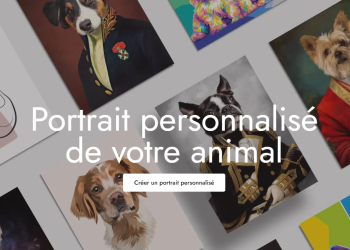 Animojo : Le bien-être animal au cœur de chaque produit