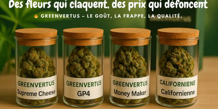 Greenvertus.fr : Une offre complète de produits CBD de qualité