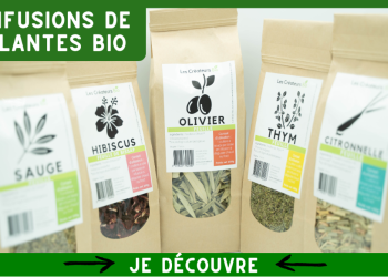 Créateurs Bio : l’artisanat éthique au service de la beauté naturelle