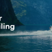 Effortless Ferry Travel Planning with Directferries