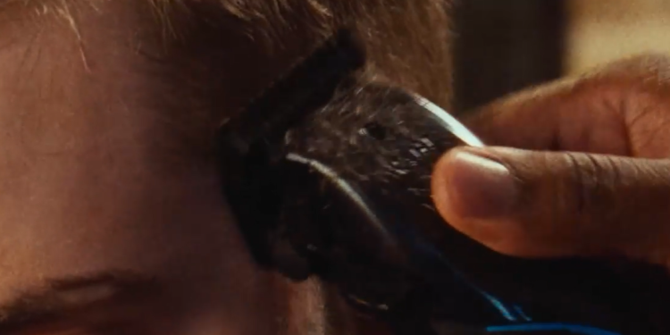 Wahl: Excellence in Personal Grooming Tools