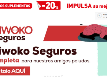 La experiencia completa para tu mascota con Kiwoko