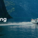 Direct Ferries: A Leading Platform for Ferry Bookings
