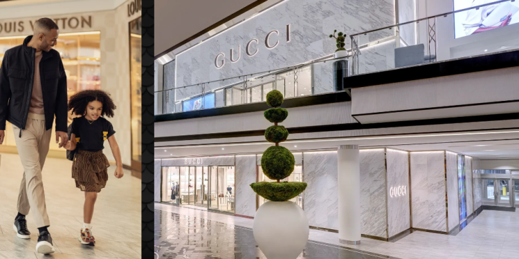 A Vast Playground Under One Roof