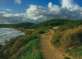 Qué hace especial a DirectFerries