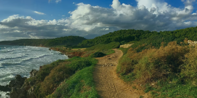 Qué hace especial a DirectFerries