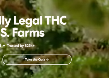 Mood: A Brand That Connects Cannabis, Community, and Culture