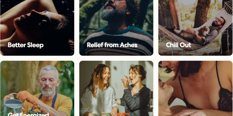 Why Mood.com is a Top Destination for Cannabis and THC Products