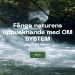 OM System – kraftfulla och portabla kameror och objektiv för alla fotografer