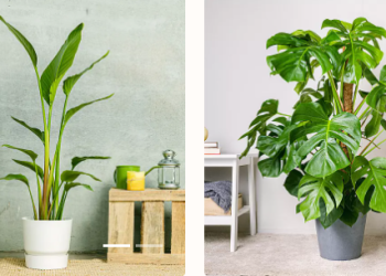 Productos Sustentables y Beneficios de be.green