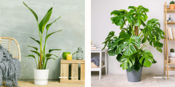 Productos Sustentables y Beneficios de be.green