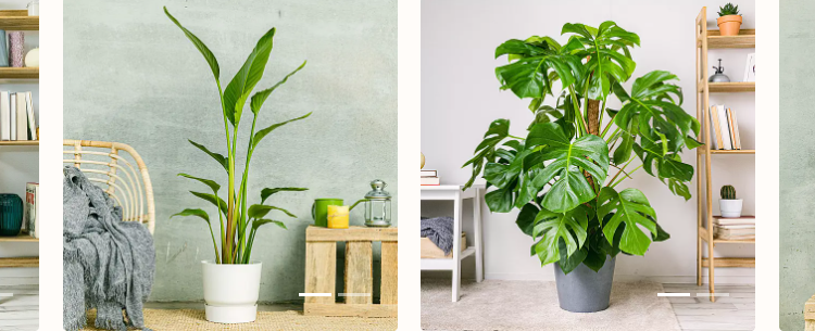 Productos Sustentables y Beneficios de be.green