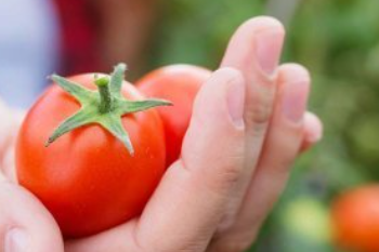 granada la palma y su propuesta única