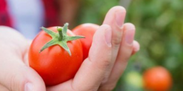 granada la palma y su propuesta única