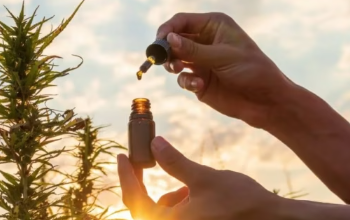 de pata verde y su propuesta natural