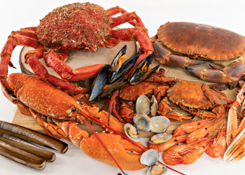 mariscosogrove y sus productos del mar