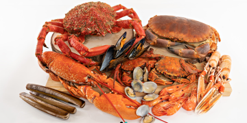 mariscosogrove y sus productos del mar