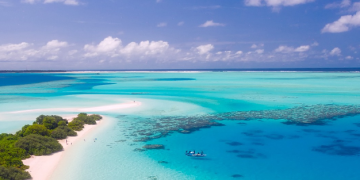 Scommesse Sportive e Intrattenimento con YallaYalla