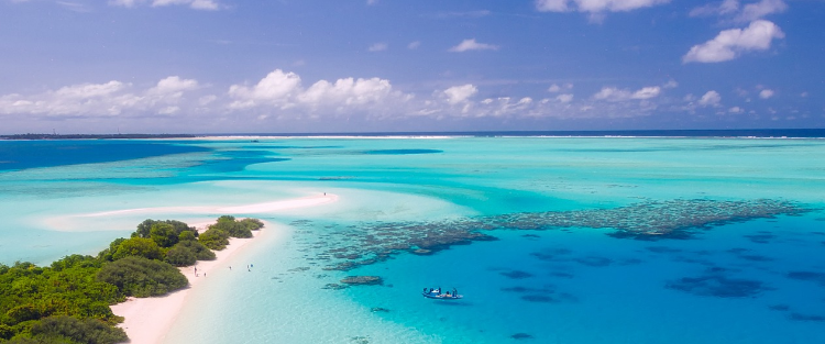 Scommesse Sportive e Intrattenimento con YallaYalla