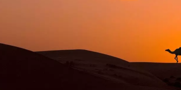 Vacanze su Misura e Servizi Completi con Veratour