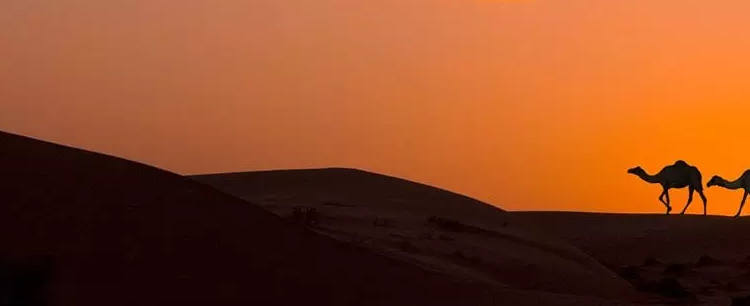 Vacanze su Misura e Servizi Completi con Veratour